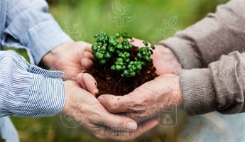 Personas sosteniendo una planta