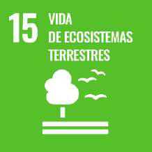 ODS 15 Vida de ecosistemas terrrestres